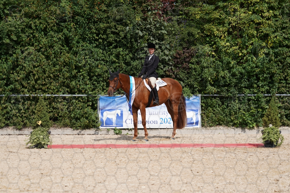 s_A9_09862.jpg